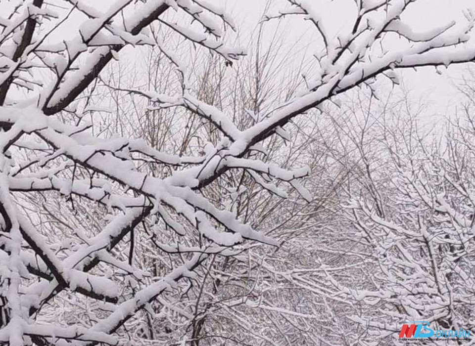 6 января в Волгоградской области ожидаются мокрый снег, дождь и сильный ветер